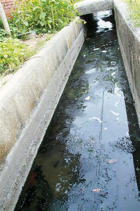 臭水溝|住家前面的排水溝好臭，蚊蟲也很多，該怎麼辦？